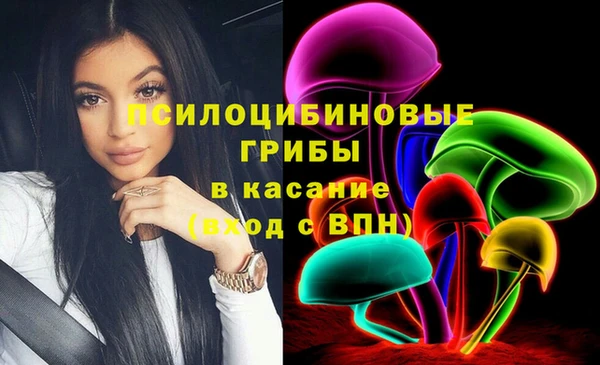 мет Алексин